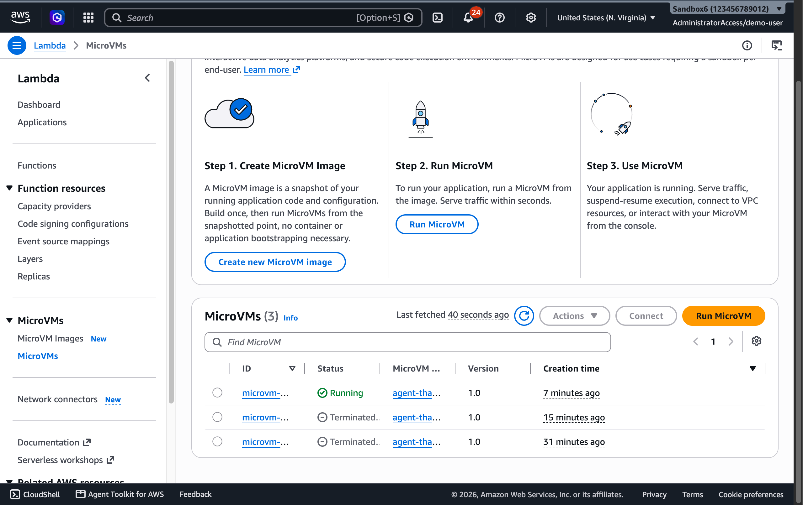 The AWS Lambda MicroVMs console showing the running agent-that-sleeps VM and the create-image, run, use lifecycle